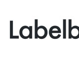 Medical Image Annotation Tool For Healthcare Ai Labellerr